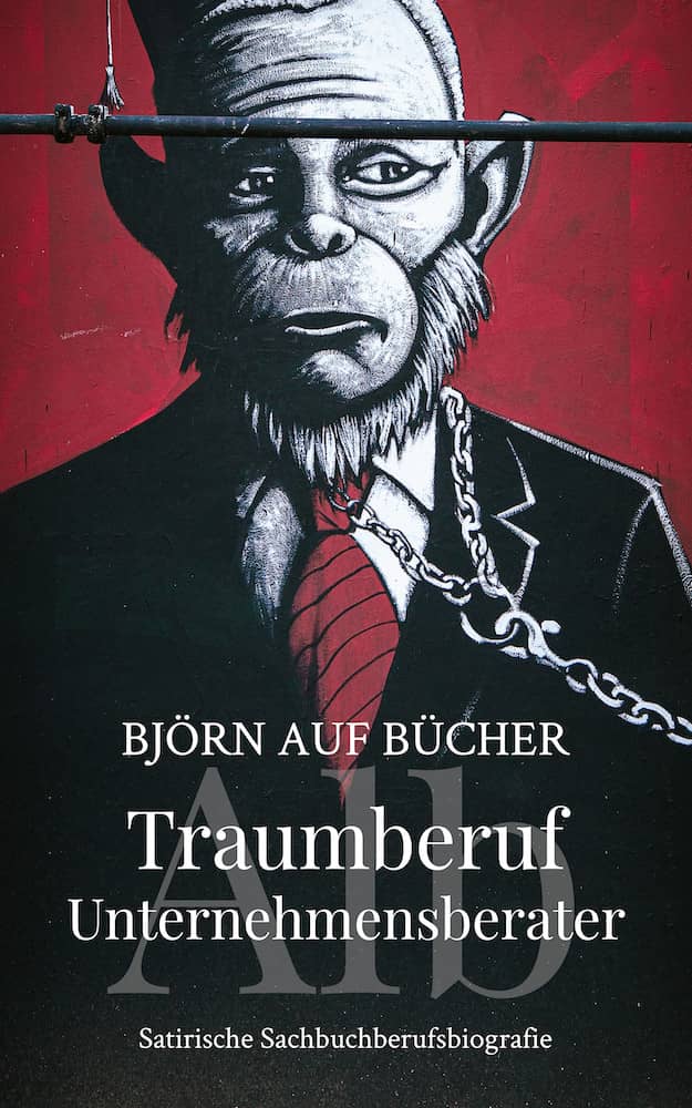 Traumberuf Unternehmensberater - Sachbuchbiografie von BJÖRN AUF BÜCHER